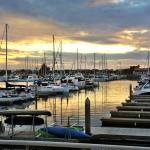 {"focusMode":0,"deviceTilt":0.01738491852814761,"whiteBalanceProgram":0,"macroEnabled":false,"qualityMode":3} (September 14, 2015)